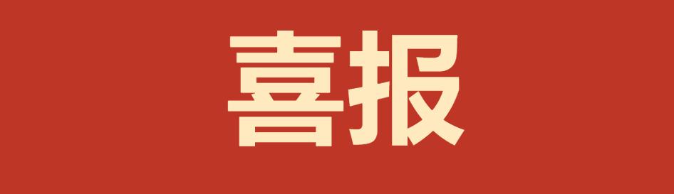 香港全年内部资料免费公开